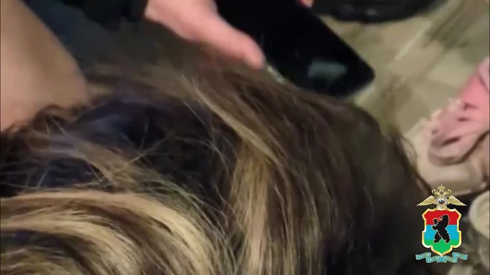 ������� ������� ��������� �������� ���-����, ������������ ����� �� �� ������ ����������