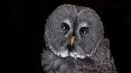 � ���������� �������� ���������� � ������ ���������