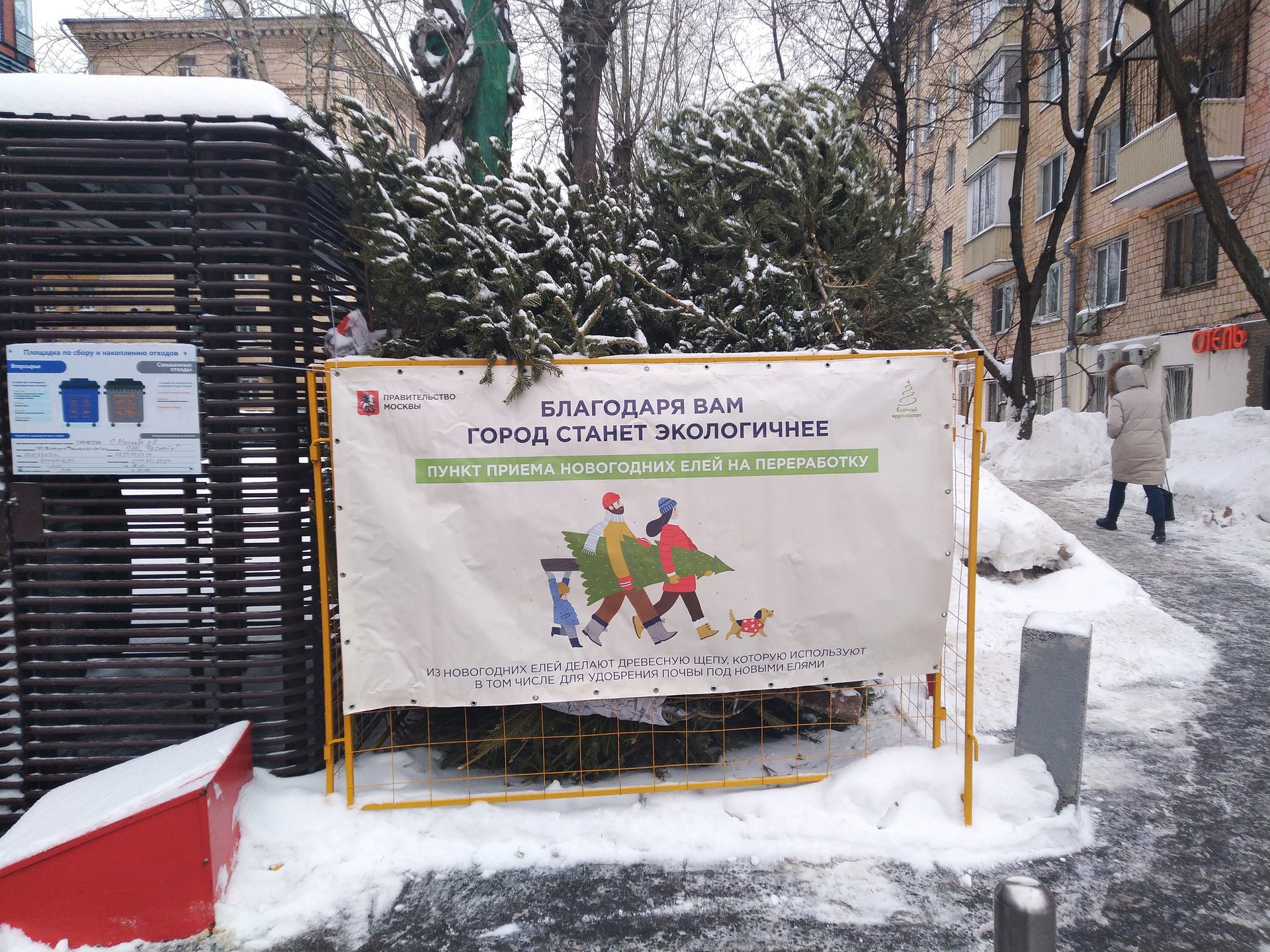 Челябинцев пообещали штрафовать за неправильно выброшенные елки