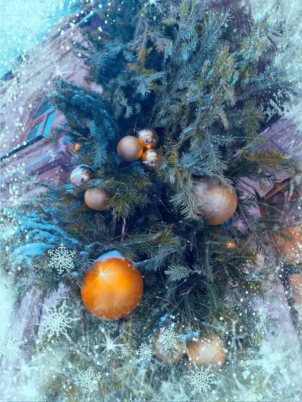 � ����������� ������� - ������ ��������� ������