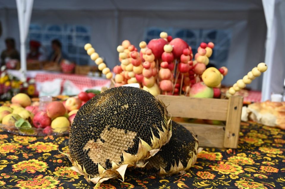 ����� 17 ���� ������� ������������� �� ������� ����������� �������