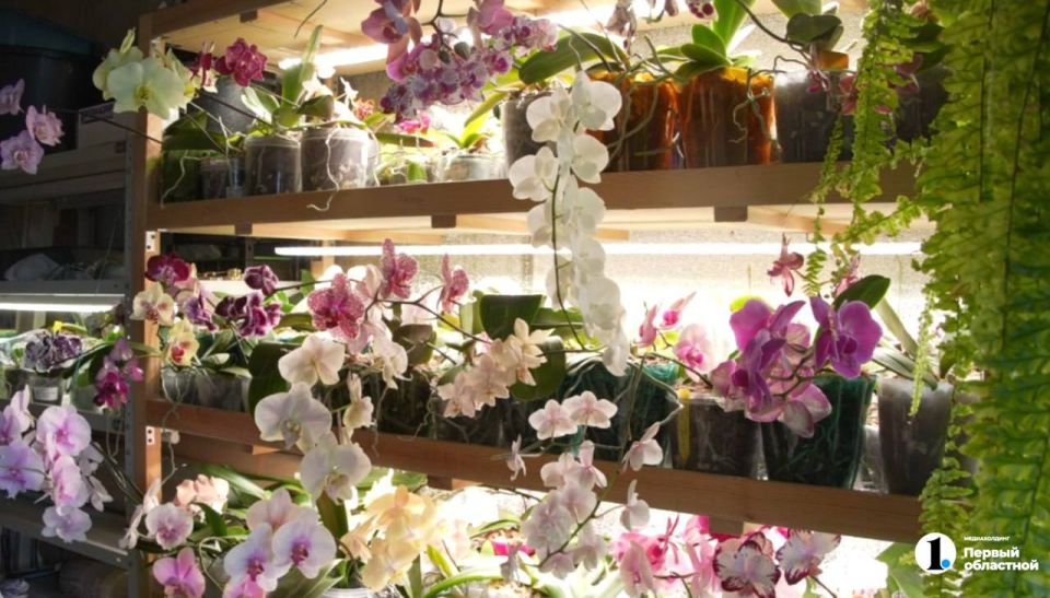 ���������� ��������� ���������� � ����� �������� ����� 220 ��������� �������