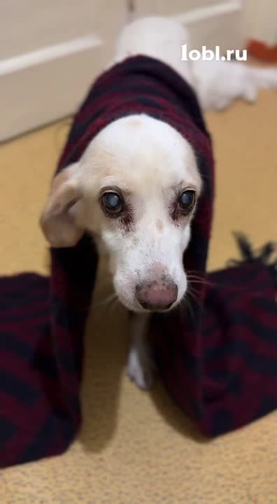 ����� ���� ������� ��������� ������, � �� ��� ����� ���, ��� ���� � �����