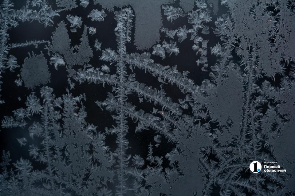 � ���� �� ������� ����������� � ����������� ������� ��������� �� ������������� -40 ��������