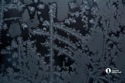 � ���� �� ������� ����������� � ����������� ������� ��������� �� ������������� -40 ��������