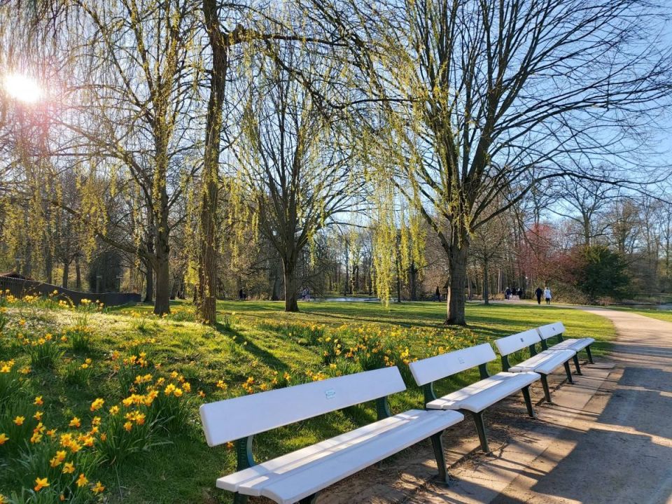 123� ���������������� ������ ���������� ����������� ��� ������������ ������������