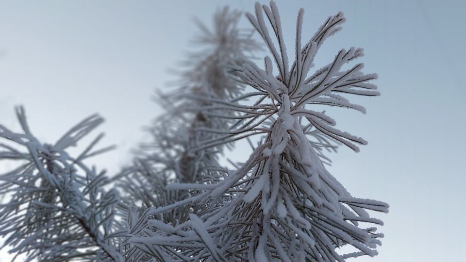 ��������� ��������������: ������ �������� �� -40�C � ����������� �������