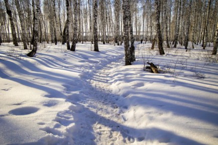 ����� 340 ����� �������� �������� �� ��� ������� ����������� �������