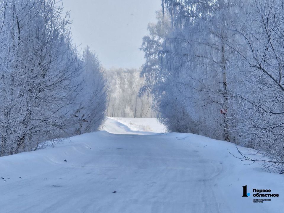 ������� ����� �� ����������� ������� ����������� ������� ����� �������� ������ ��������