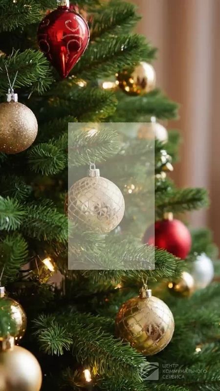 ������ ����������� �� ���������� ����!