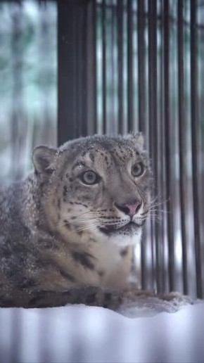 ������� ���� ��������� �� ���������� ��������� � ������ ����