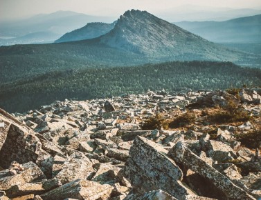 ������� ������������ ��������� ������ �������� � 2025 ����