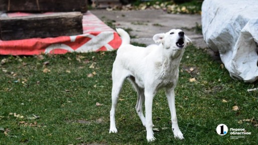 � ���� �������� ����������� ������� ����� �������� �� ���������