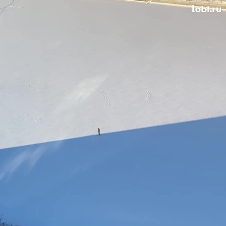 ������ ���������� � ������ ��� ��������� ������ ����������� � ������, � ���� ����� �� �� ������