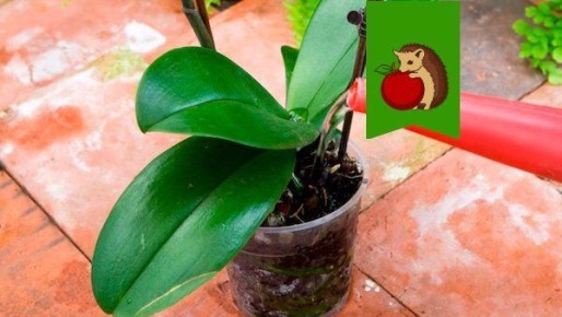 �������� ����� �� ���������: ��� �� �������� ���� ��������� ����������