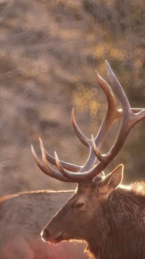 ����������� � ��������������