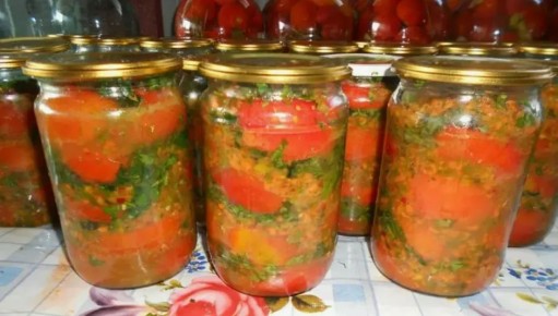 ��������� �������� � ��������: �������� � ���� � ������ �����