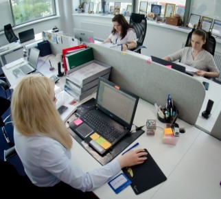 � ����������� ������� � ������� ���� ������� 24% ���� �������� �����