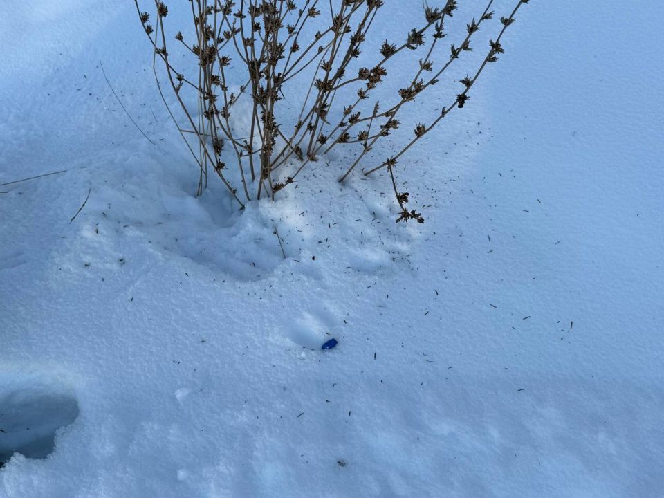 Более 100 свертков синтетического наркотика изъяли полицейские у задержанного в Южноуральске