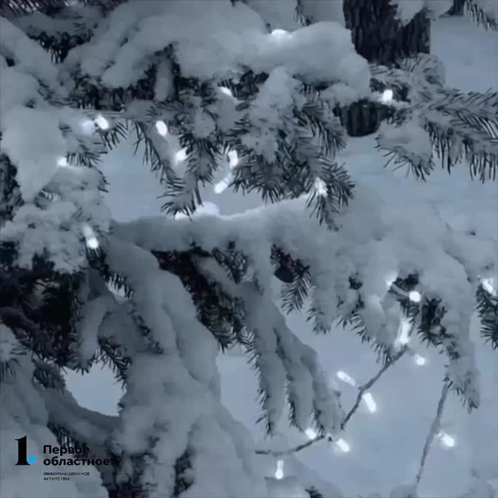 ���� ������� ��������� ���� � �����