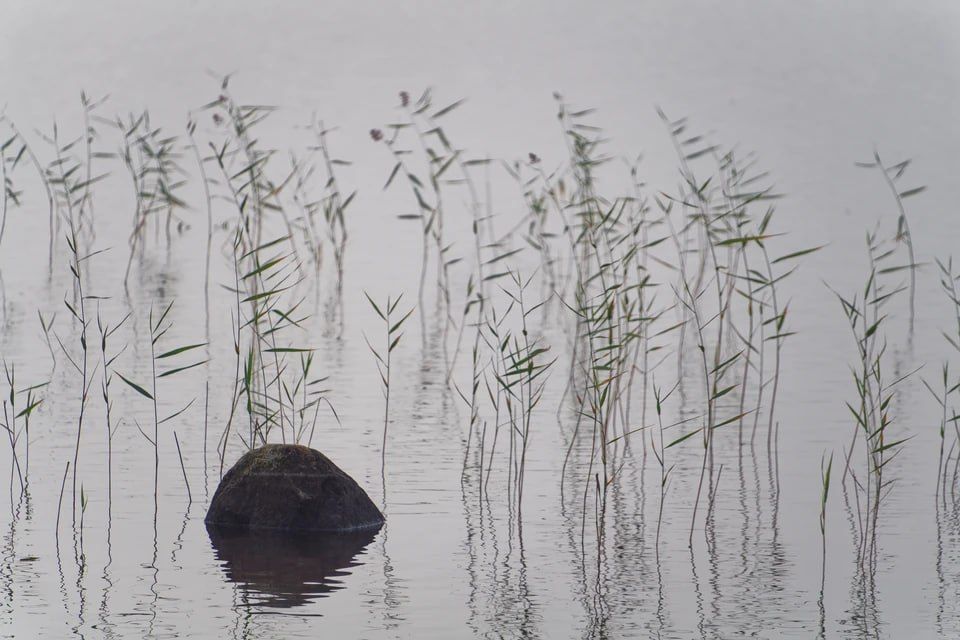 ��������������� �������� ����: �������� ��� �������� �������� ��������� � 7,3 ��� ������