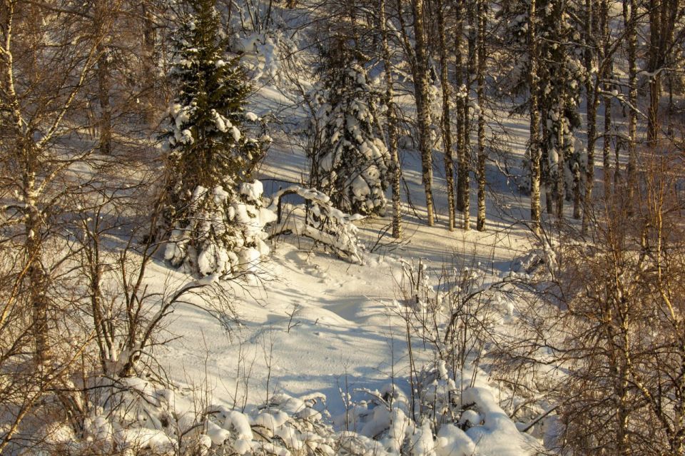 �������� ����� �������� �������� � ����������� �������