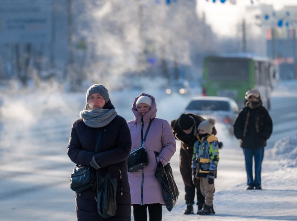 ����������� �������� ������ 7 �������� ������ �� ������ ��������� �����������