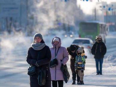 ����������� �������� ������ 7 �������� ������ �� ������ ��������� �����������