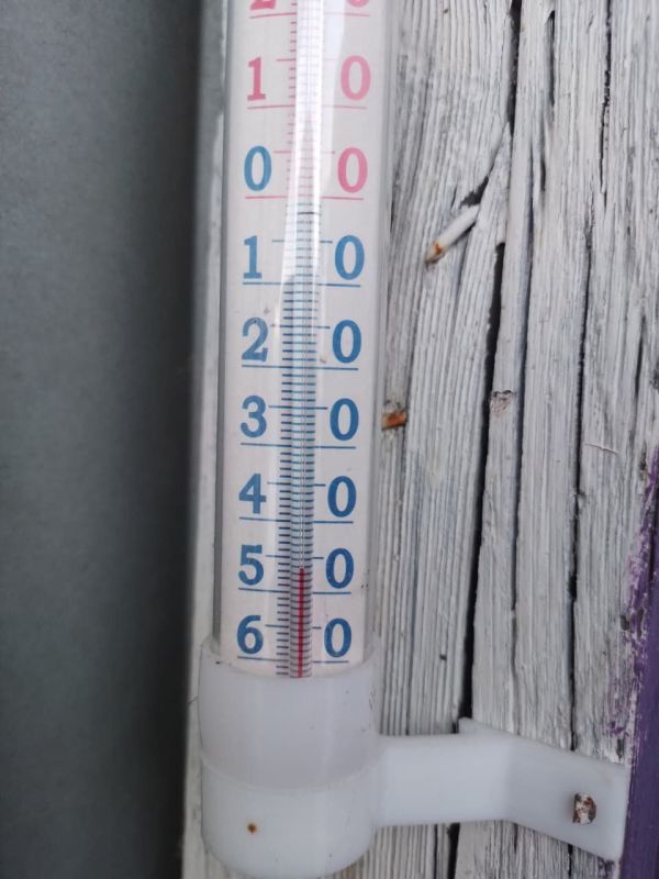 � 46 ������� ���� � ����������� �������