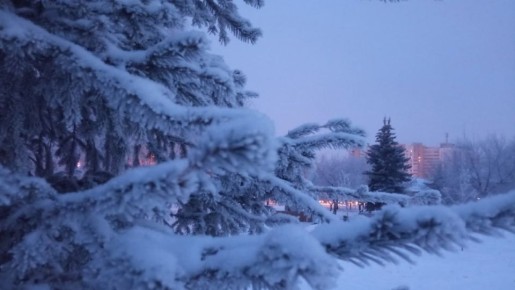 ������ ��������, ������ ���������: ������� �� �������� � ����������� �������