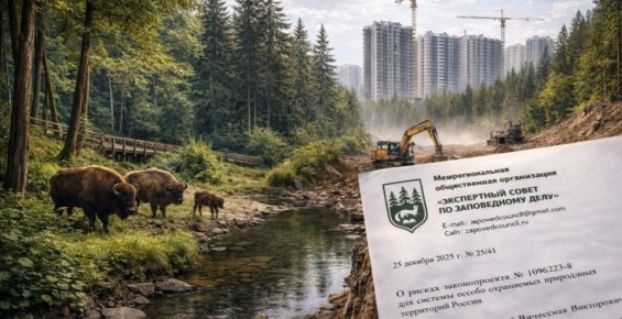 �� ����� ����������: ����� ������������ �������� ���������� ������������