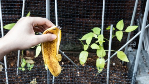 ��������� �������: �� ��������� ������ ��������� ������������� ��������� ��� ������� ���