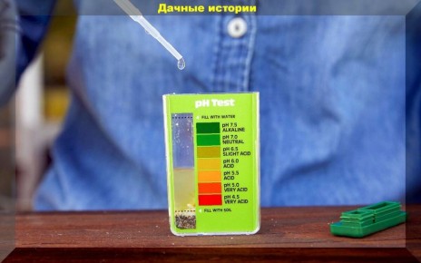 ����������� ����������� �����: ������� ��������� ������