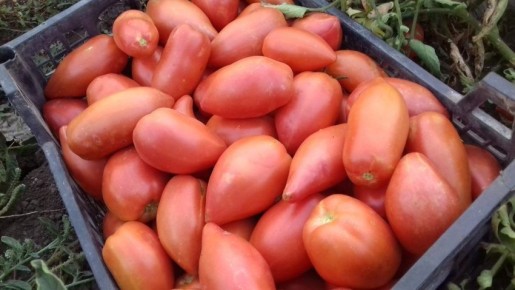 ����� ������: ������ ������� ������, ������� �������� ���������