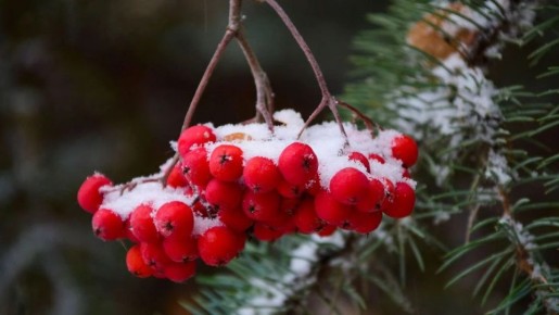 ��������� ����������, ����� ������ ���� ������� ���������� �� ��������