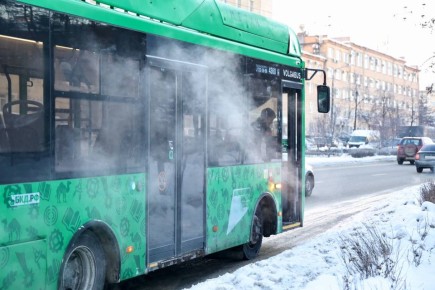 ������ ����, �����������!. ������� �����������, 19 ������