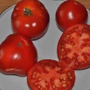 ����� ������� ���� � ��� �������� ������� �� ����