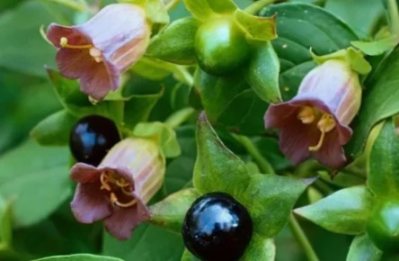 �������� �������: ������� �������� � ����� 2026 ����