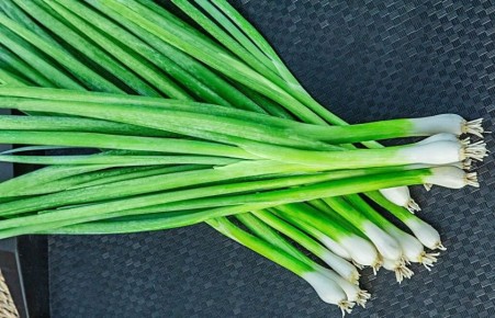 ��� ��������� ���-�����: ������� ������� ��������� ������