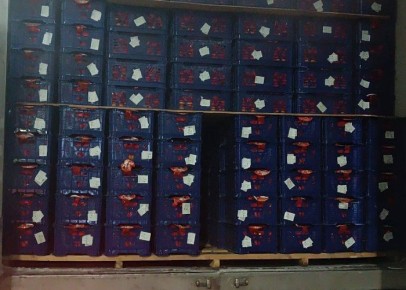 � ��������� �� ������� 20 ���� ��������� ����������