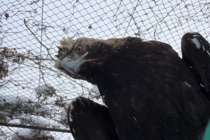 ������������� ���� �� ������������ ��������, ������, ����� � ������ ������ ����������