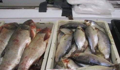 �� ����� � ���������� ������ ��� ������ �������� � ������� ����