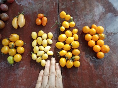 ������ ���� � �������: ����� ������� ����� �����-������� 2026 ����