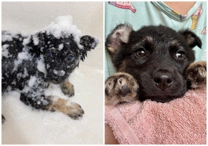 ������������� � ������ � ���� �� �������: ��������� �������� �������� �� ������� ����� ���� ������� ������