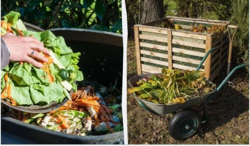 5 �������� � �������, ������� �� ����� ������ � �������: ����������� � �������� ������� ������ ���������