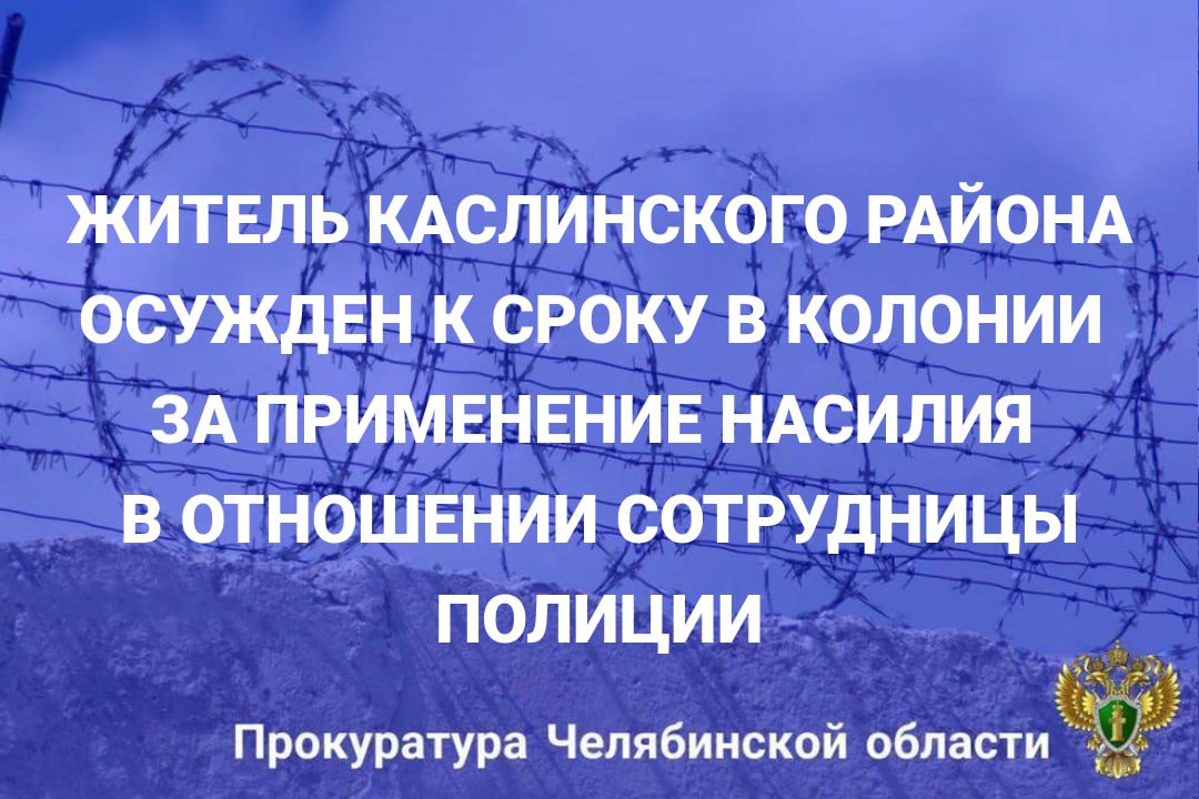 Каслинский городской суд вынес приговор по уголовному делу в отношении ранее судимого 21-летнего местного жителя