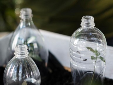 ����������� �������� ��� �����: ��� ���������� ����� ������ �������� ����������