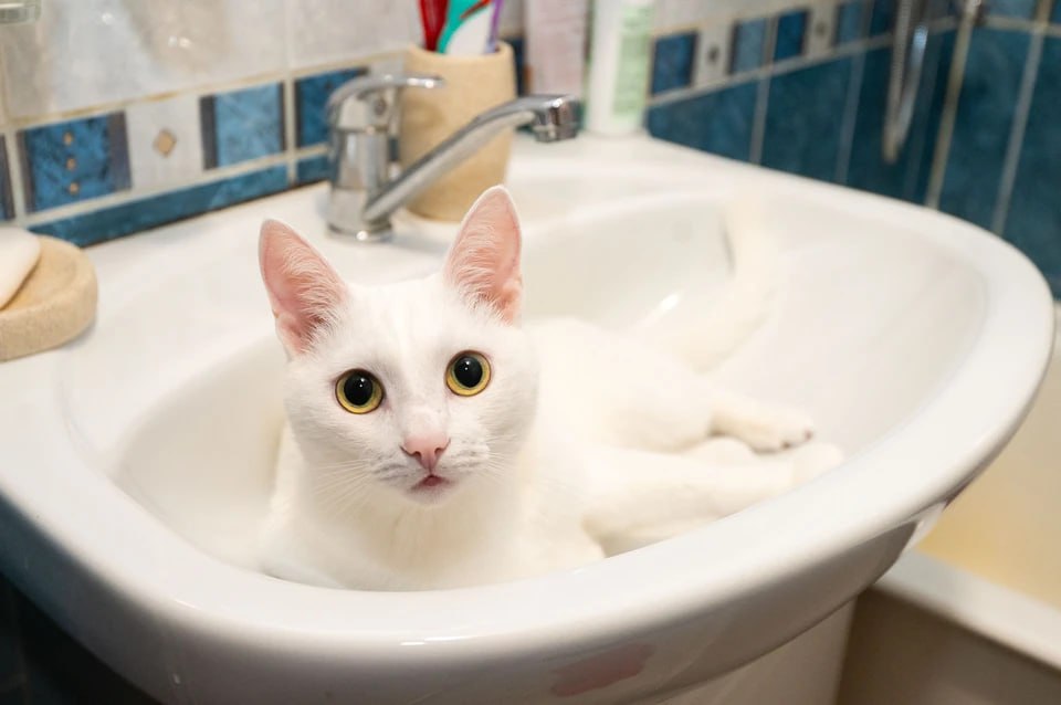 «Жителям вернули 8,4 млн рублей»: прокуратура разобралась с отключениями горячей воды в Челябинске