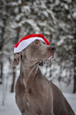 ���������� �������� ������ �������� �������!