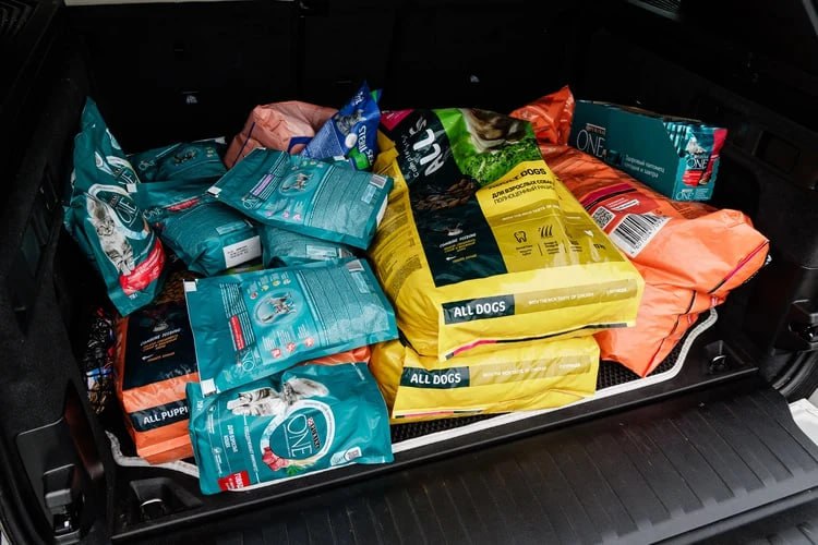 Наполним миски едой: «Комсомолка» объявляет благотворительный сбор корма для животных из приюта